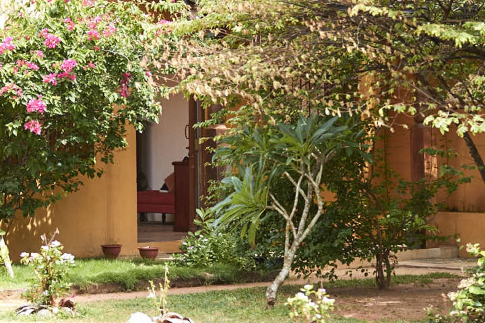 Villa Sunbird Νεγκόμπο Εξωτερικό φωτογραφία