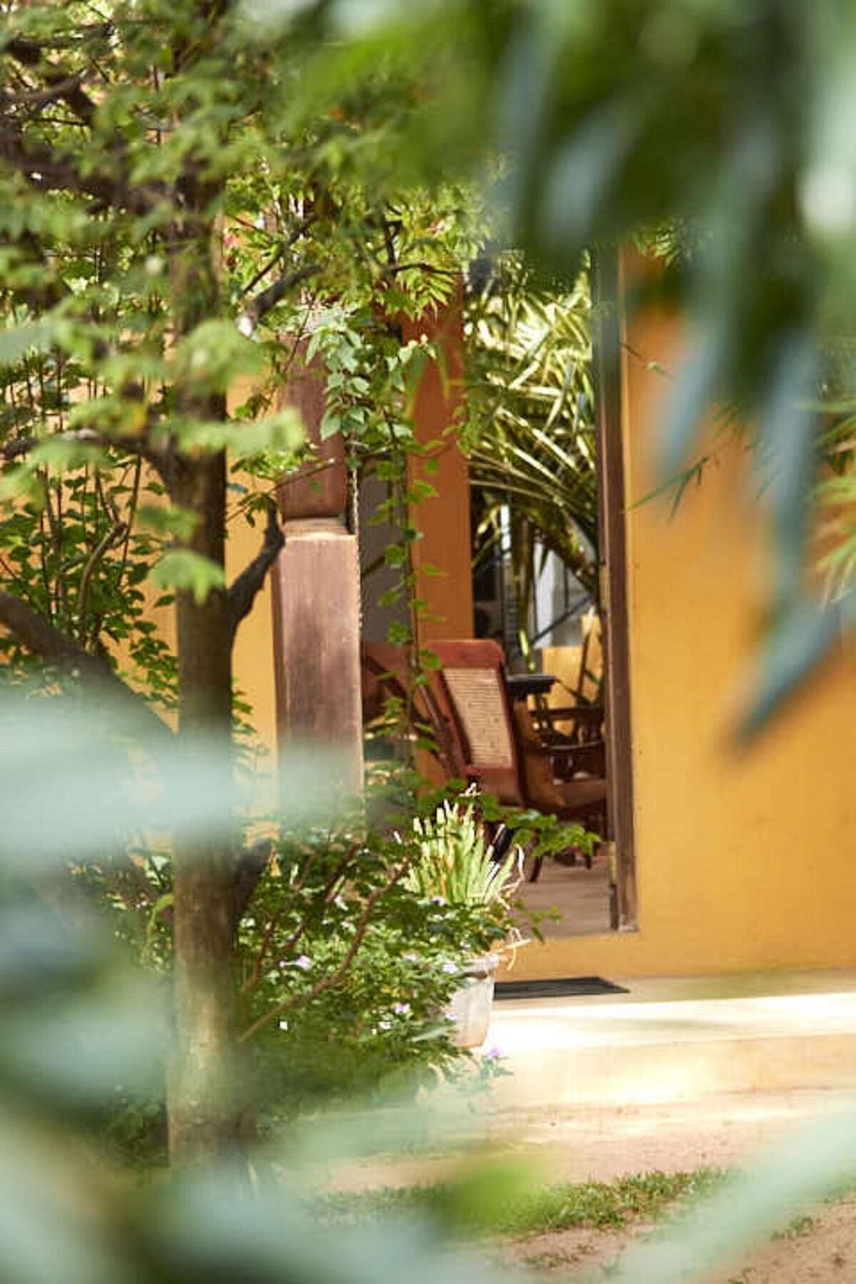 Villa Sunbird Νεγκόμπο Εξωτερικό φωτογραφία